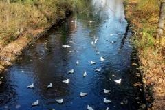 IMG_20221031_111314